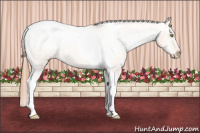 Horse Color:Gold Champagne Dun Tobiano Snowcap 