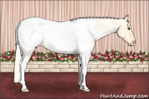 Horse Color: Palomino Roan Dun Tobiano Snowcap 