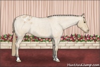 Horse Color:Buckskin Roan Varnish 