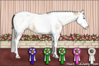 Horse Color:White Spotted Buckskin Splash Tobiano 