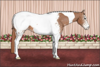 Horse Color:White Spotted Chestnut Tobiano Near Fewspot 