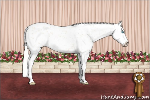 Horse Color: Silver Perlino Splash Near Leopard 