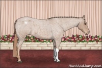 Horse Color:Red Roan Varnish 