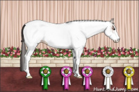 Horse Color:White Spotted Bay Tobiano Snowcap 