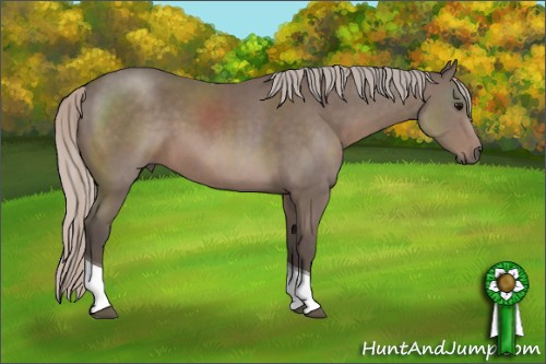 Horse Color: Silver Black Sabino Tobiano 