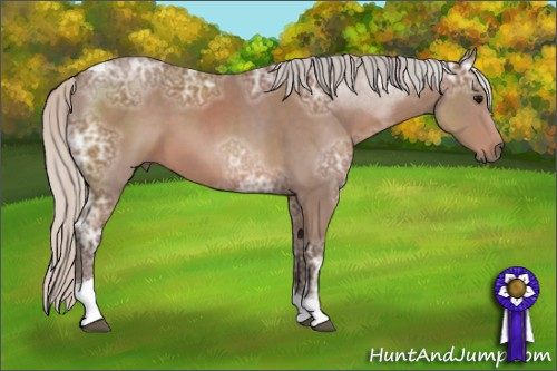 Horse Color: Silver Black Ice Tobiano 