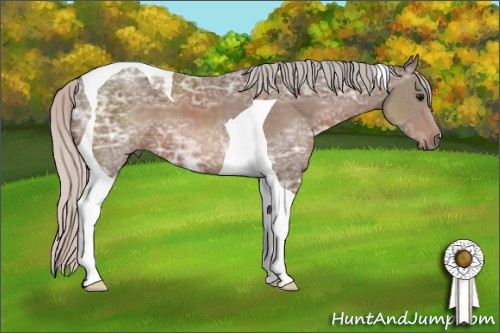 Horse Color: Silver Black Ice Tobiano 