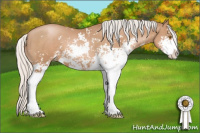 Horse Color:Silver Black Pearl Sabino 