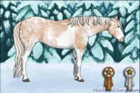 Horse Color:White Spotted Silver Black Ice Pearl Splash Tobiano 