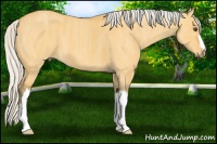 Horse Color:Silver Buckskin Dun  Brindle