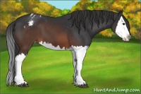 Horse Color:Brown Splash Blanket 
