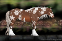 Horse Color:White Spotted Silver Brown Ice Tobiano 
