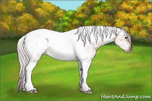 Horse Color: White Spotted Silver Bay Ice Dun Tobiano 