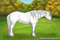 Horse Color:White Spotted Silver Bay Ice Dun Tobiano 