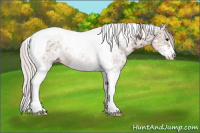 Horse Color:Silver Black Ice Sabino Tobiano Rabicano