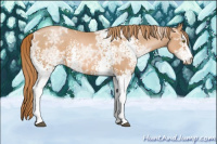 Horse Color:White Spotted Liver Chestnut Ice Pearl 