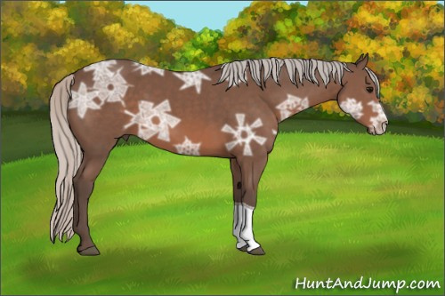 Horse Color: Silver Brown Ice Sabino Tobiano 