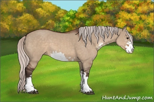Horse Color: Silver Brown Dun Sabino 