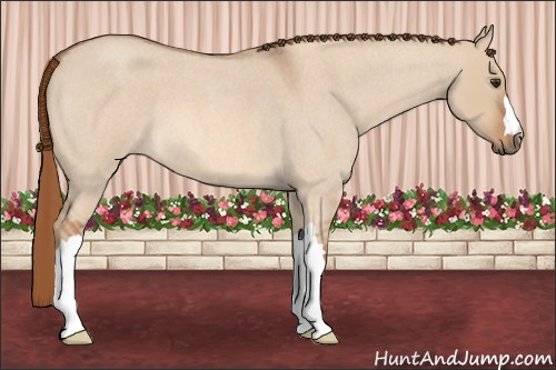 Horse Color: Red Dun Roan 