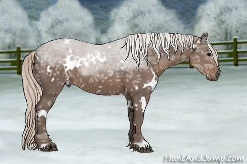 Horse Color: White Spotted Silver Black Ice 