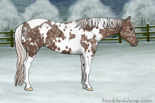 Horse Color: White Spotted Silver Black Ice Tobiano 