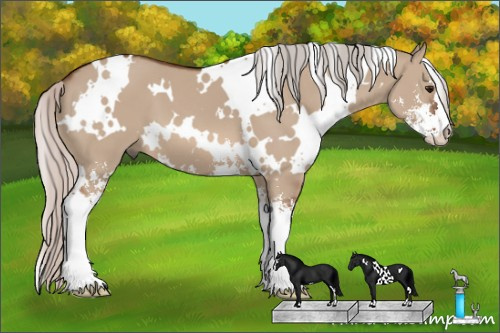 Horse Color: White Spotted Silver Brown Dun Sabino 