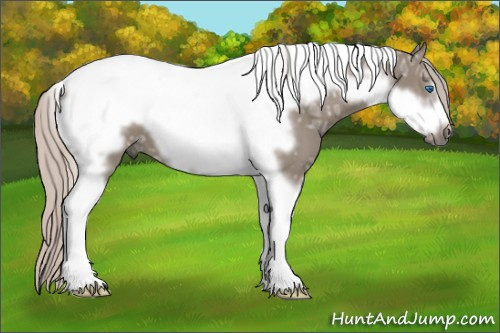Horse Color: Silver Brown Ice Dun Tobiano Frame 