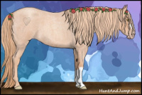 Horse Color:Gold Champagne Roan 