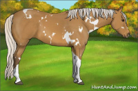 Horse Color:White Spotted Silver Buckskin Tobiano