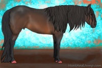 Horse Color:Brown 