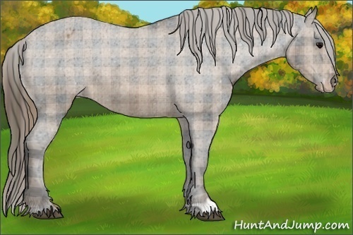 Horse Color: Plaid  Brown Varnish 