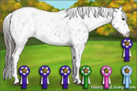 Horse Color:Brown Snowcap 