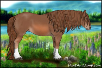 Horse Color:Chestnut Tobiano