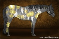 Horse Color:White Spotted Blue Roan Rabicano  Brindle