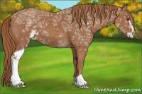 Horse Color:Chestnut Ice Sabino 