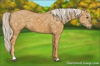 Horse Color:Palomino Ice Sabino 