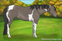 Horse Color:Black Tobiano 