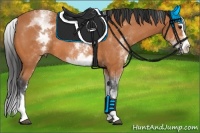 Horse Color:White Spotted Bay Splash 