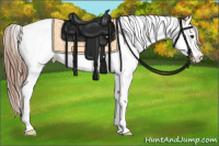 Horse Color:Liver Chestnut Splash Tobiano Snowcap