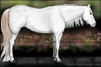 Horse Color:Red Roan Snowcap 