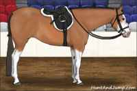 Horse Color:Bay Splash Frame 