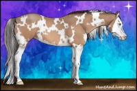 Horse Color:White Spotted Amber Champagne Splash 