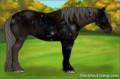 Horse Color: ERROR: UNKNOWN ANOMALY