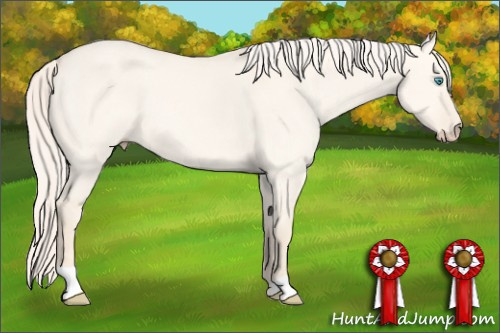 Horse Color: Cremello Dun 