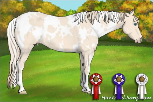 Horse Color: White Spotted Perlino 