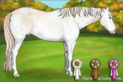 Horse Color: White Spotted Perlino 