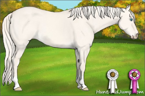 Horse Color: Cremello Dun 