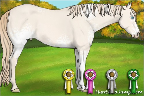 Horse Color: White Spotted Perlino Dun 