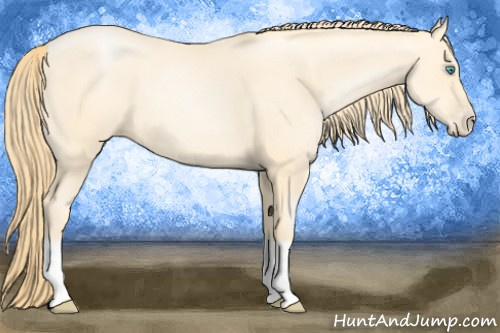 Horse Color: Buckskin Pearl Splash Frame 