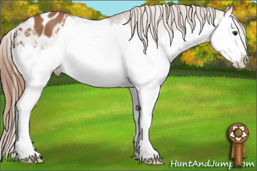 Horse Color: Liver Chestnut Sabino Splash Varnish 